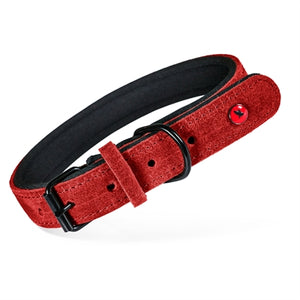 Zolux Expert Halsband Hond Premium Leer / Neopreen Rood 70X3 Cm