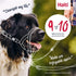The Company Of Animals Company Of Animals Halti Headcollar Zwart Nr 2