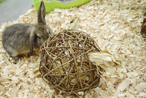 Nature First Happy Pet Speelbal Wilg Nature First 17X17X17 Cm