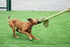 Happy Pet King Size Tug Flostouw L 101X18 Cm