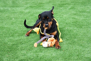 Happy Pet Pull My Leg Pluche Paard 44X36X9,5 CM