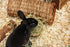 Happy Pet Wilgen Tunnel Large 32X15X15 Cm