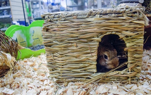 Nature First Happy Pet Grassy Hideaway Verstopplek Large 36X27X18 Cm