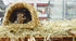 Happy Pet Grassy Tunnel 22X20X15 Cm