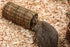 Nature First Happy Pet Wilgen Tunnel Small 27X13X13 Cm