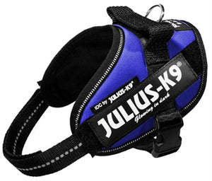 Julius K9 Power-Harnas / Tuig Voor Labels Blauw MINI MINI/40-53 CM