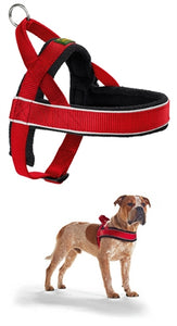 Hunter Harnas Norweger Racing Nylon Rood / Zwart MEDIUM 52-62X2,5 CM