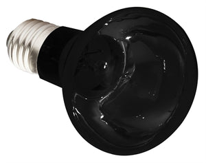 Komodo Nachtgloed Lamp Es 50 WATT