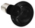 Komodo Nachtgloed Lamp Es 50 Watt