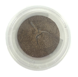 DIERENDROGIST GROENLIPMOSSEL EXTRACT VETERINAIR