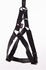 Martin Instap Tuig Nylon Zwart 70-90X2,5 CM
